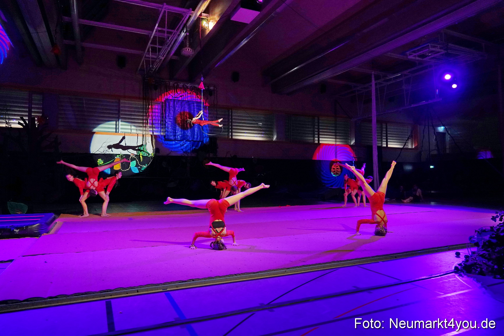 Artico Artistical Dschungelbuch 2020 0096